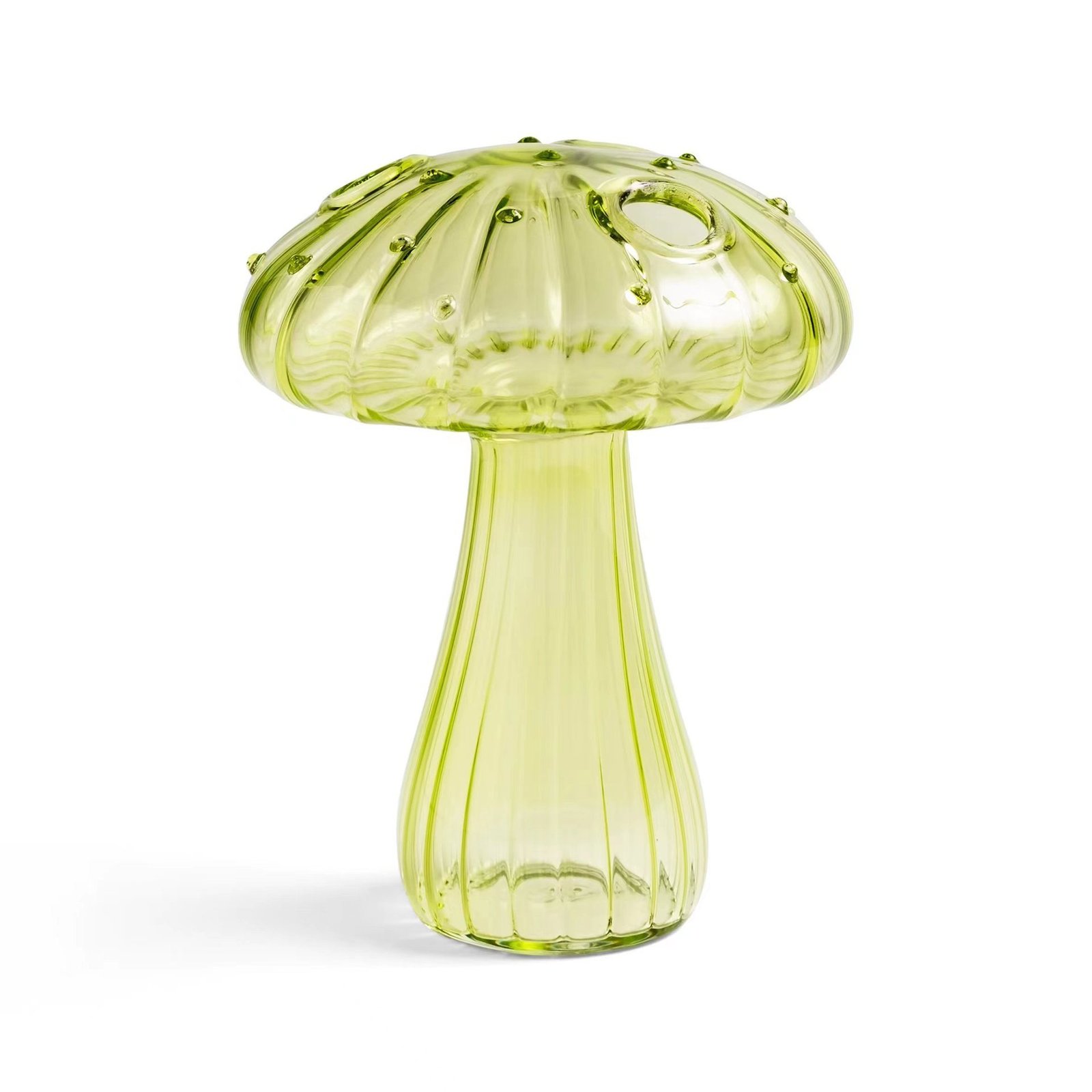 Mushroom Aromatherapy Bottle Tabletop Hydroponic Planter - Image 10